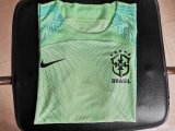 Mens Brazil Pre-Match Short Training Jersey Mint 2022 - Match