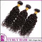 12A  Virgin Hair Curly