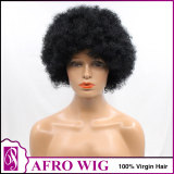 FREE SHIPPING for  Human Hair Afro Wig
