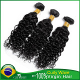10A 100% Virgin Brazilian Curly Wave Hair 300g