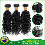10A 100% Virgin Brazilian Curly Wave Hair 300g