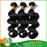12A 100% Virgin Indian Body Wave Hair 300g