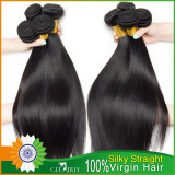 12A 100% Virgin Indian Silky Straight Hair 300g