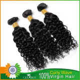 12A 100% Virgin Indian Curly Wave Hair 300g