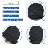 13A Short Afro Curl Wig 100%Human Hair for Black Women(H501)