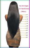 Glueless Straight Wigs from 8-30In  13A -13x4 Full Frontal