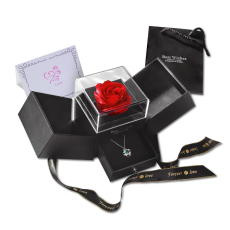 Möbius Necklace with Red Rose and Gift Box