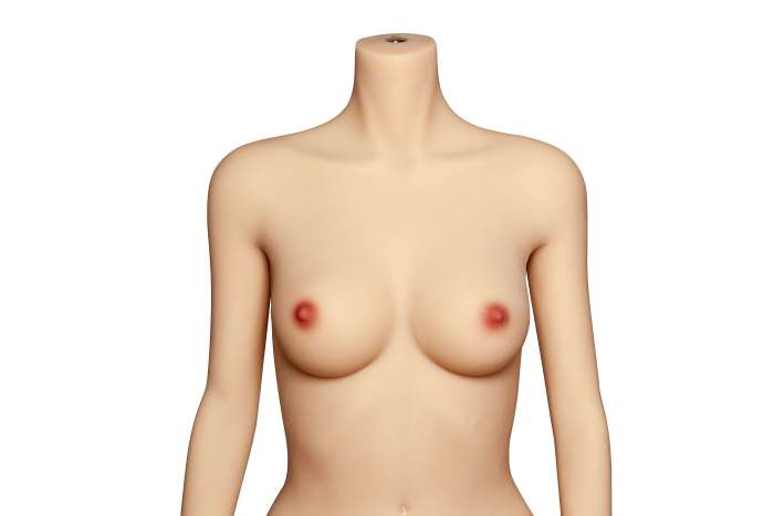 XY Doll 148cm C cup Angle Silicon head + TPE body