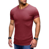Casual Summer Sports Fitness Short Sleeve T Shirt Fitted V Neck Men Top
