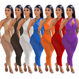 Women's sexy bodycon solid color see-through mesh beach sleeveless maxi dress