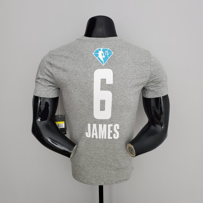 LeBron James 2021 Olympics USA Team Gray Casual T-shirt