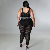 Plus Size Perspective Sexy Lace Black Vest And Pants Two Piece Sets NNWF-7482