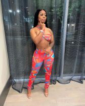 EVE Sexy Printed Tube Top And Pants 2 Piece Sets APLF-2013