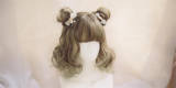 Little Poppy~ Sweet Lolita Short Curls Wig 30cm -In Stock