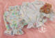 Miss Point~Bear and Rabbit Paradise~Cute Lolita Bloomers-OUT