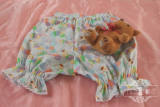 Miss Point~Bear and Rabbit Paradise~Cute Lolita Bloomers-OUT