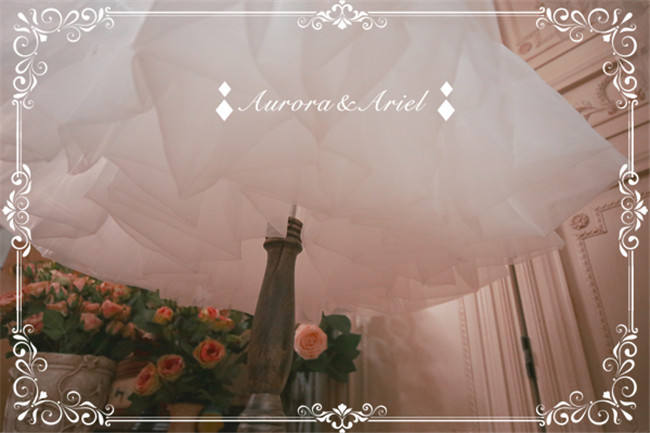 60cm Daily Wear Aurora & Ariel Lolita Fashion Lolita Petticoat