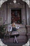 The Fair of Camelot~ Lolita Normal Waist JSK Version I -Pre-order Closed
