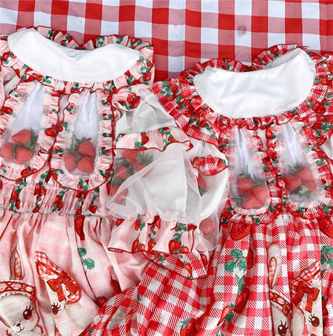 Diamond Honey ~Strawberry Picnic Rabbit Lolita Jumper