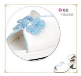 Angelic Imprint- Sweet Plate Buttons Single Belt Qi Lolita Heels Shoes