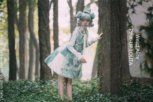 Weird Alice~ Lolita Printed JSK -Custom-tailor Pre-order  Closed