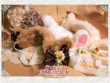 Cutie Creator ~Lama~  Sweet Plush Lolita Headband with Ears - 3 Colors Available-out of stock
