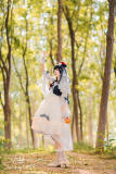 White Snow~ Elegant Neckline Lolita JSK -Pre-order Closed