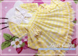 Fruit Sugers In Summer Gingham Lolita OP - Ready MADE
