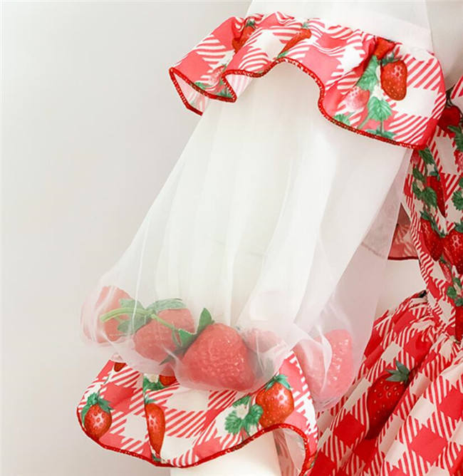 Diamond Honey ~Strawberry Picnic Rabbit Lolita Jumper