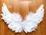 Dance Music of Sun and Moon~ Little Angel Wings -Ready Made