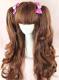 Daily Lolita Pretty Natural Mixed Brown 70cm Base 2 Removable Ponytails Wig
