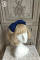 Navy Blue Headbow