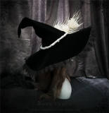 Rose Thorn  Halloween Lolita Witch Hat
