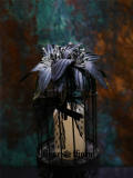 Rose Thorn Black Lily Gothic Lolita Headbow/Brooch