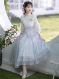 Iris Dream Elegant Classic Lolita Dress One Pieces
