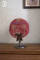 Red Beret