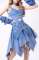 Blue Skirt Only