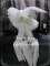 White Unicolor