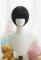 Color D -Short Wig with Straight Bangs