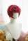 Color D -Short Wig with Curly Bangs