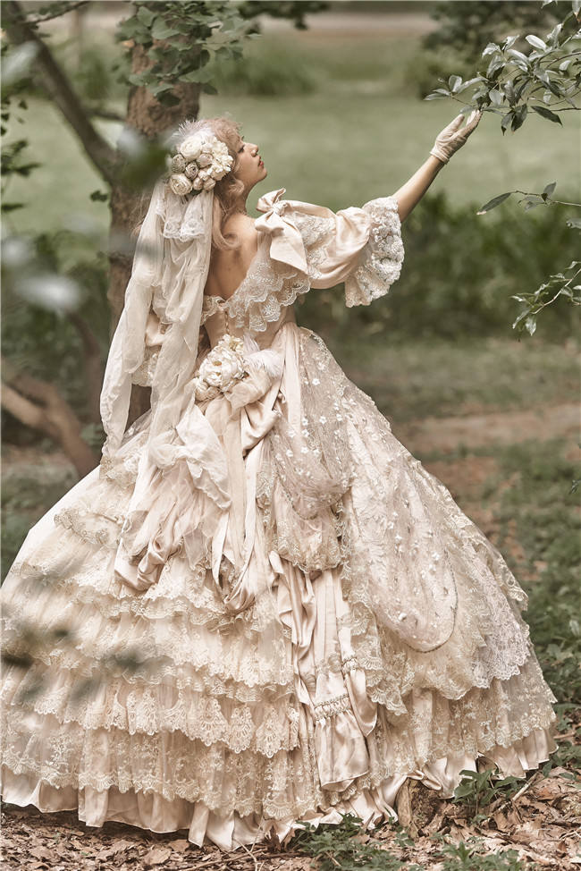 Airfreeing Heavy Design Rococo Classic Wedding Dress Full Set