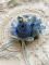 Dark Blue Flower Brooch