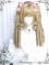 Gold Short Wig and a pair of Ponytail