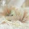 Lotus Coralline Hairclip(a pair)