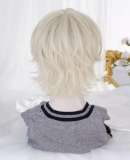 Alice Garden White Golden Prince Wig