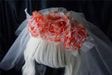 Strange Sugar Blood Roses Halloween Gothic Mantilla