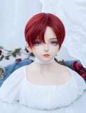 Alice Garden Red Short Hair Prince Wig