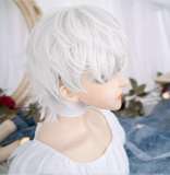 Alice Garden Natural Puffy White Prince Wig