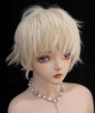 Alice Garden Light Golden Prince Wig