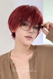 Alice Garden Red Short Hair Prince Wig